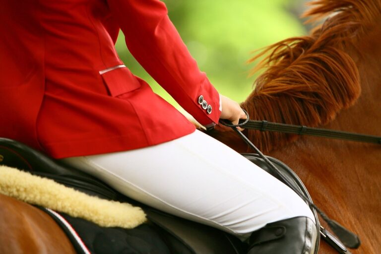 Riding Fundamentals: The Leg (Part 1 Of 2)