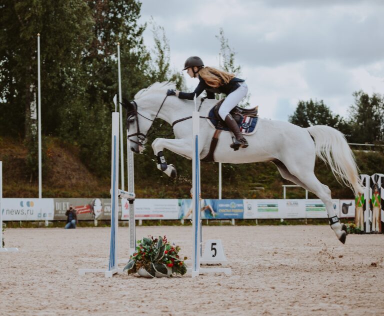 Riding Fundamentals: The Leg (Part 2 of 2)