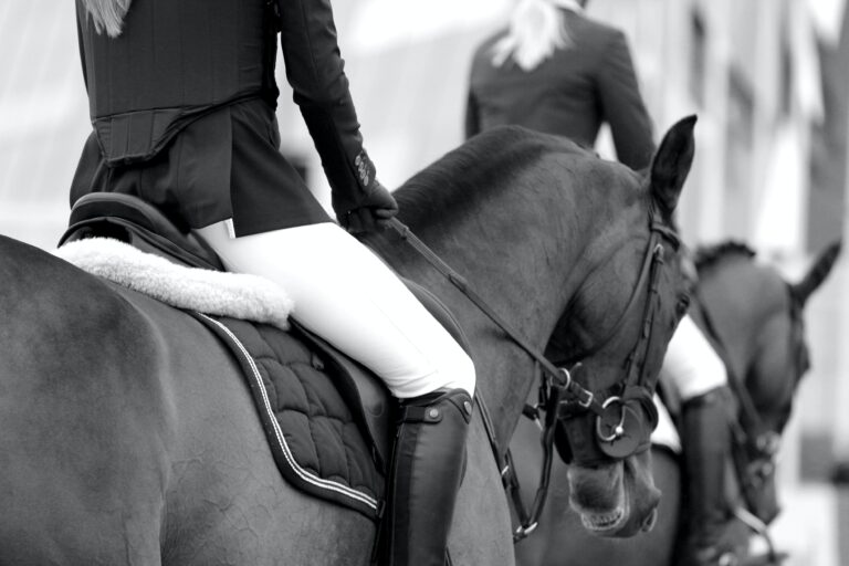 Riding Fundamentals: The Seat (Part 2 of 2)