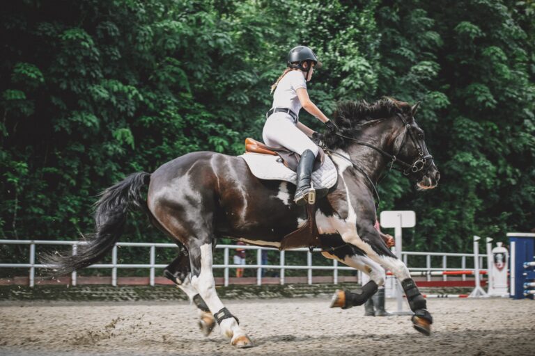The Canter Aids: Driving Forward or Striking-off?